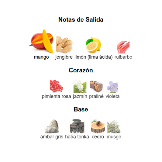 VULCAN FEU DE FRENCH AVENUE 100ML