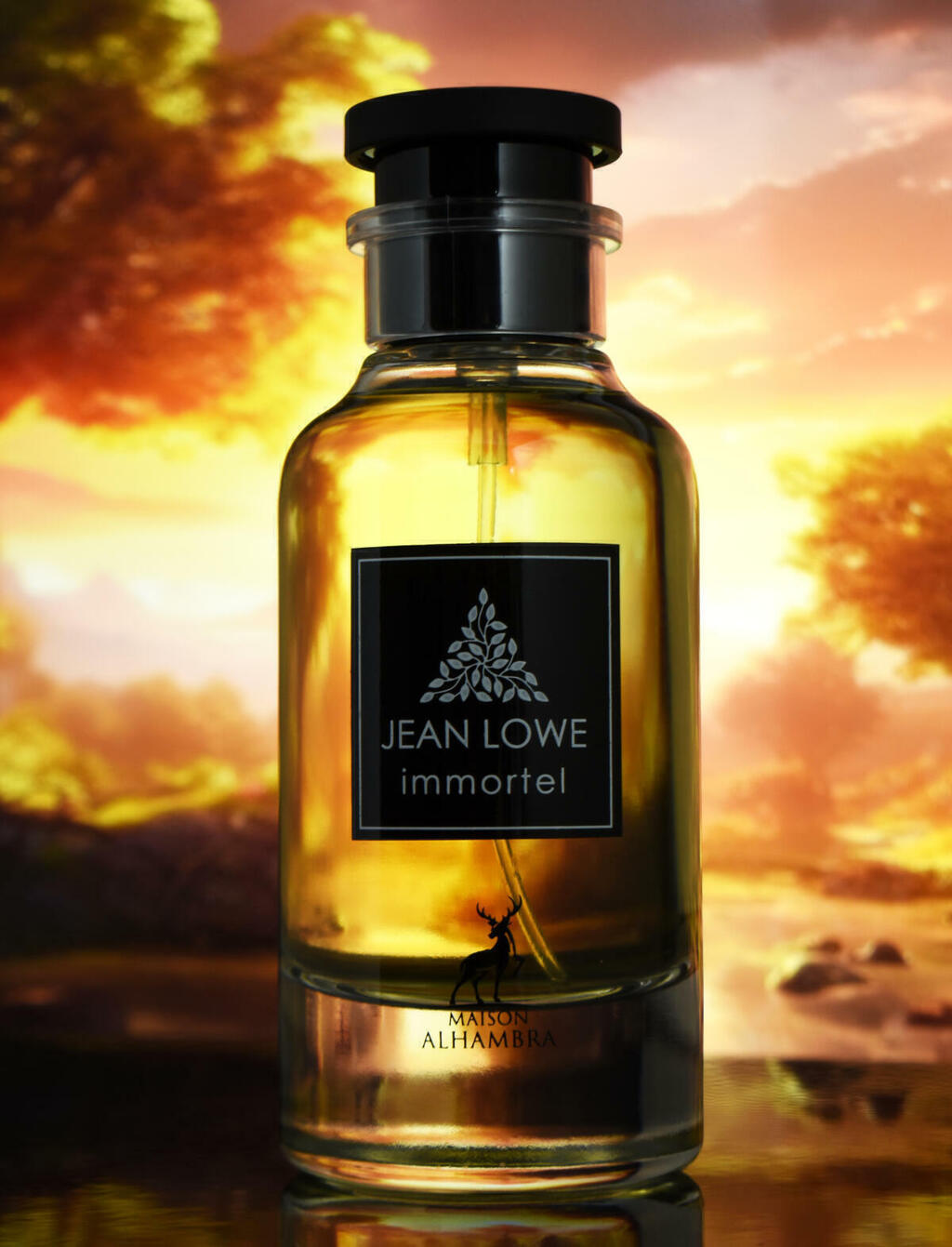 JEAN LOWE IMMORTAL de MAISON ALHAMBRA 100ML